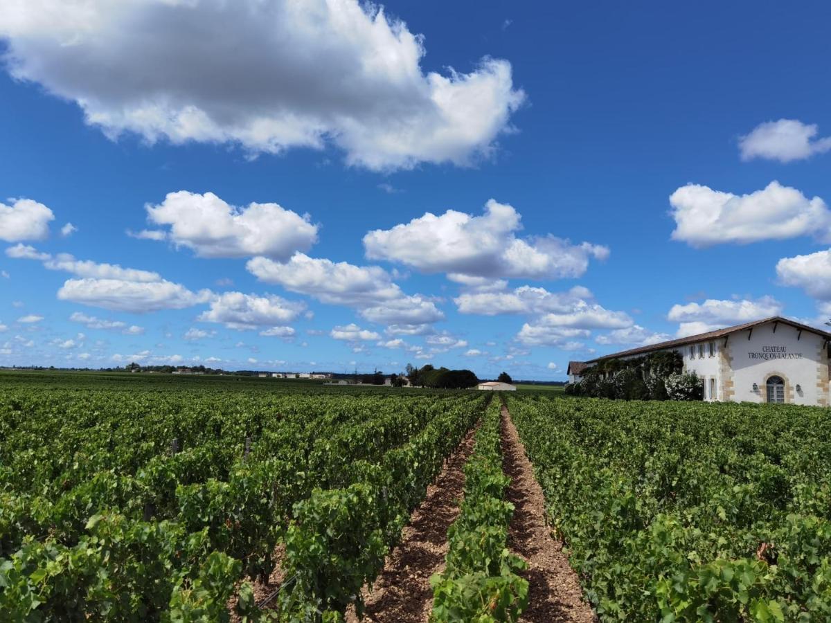 Au Coeur Des Vignobles Bed & Breakfast Saint-Estèphe Eksteriør bilde